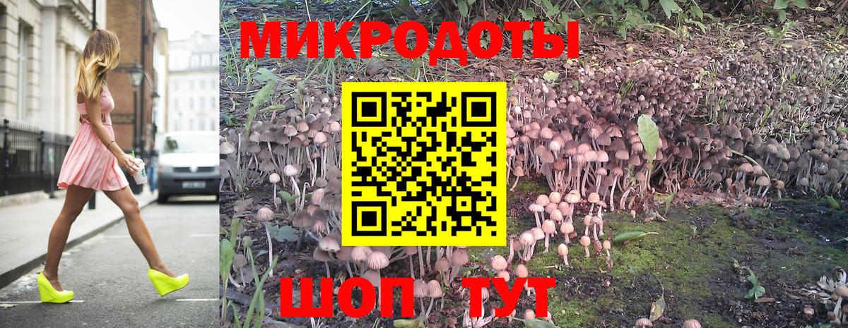 магазин    Вход с VPN  Дзержинск  Псилоцибиновые грибы MAGIC MUSHROOMS 